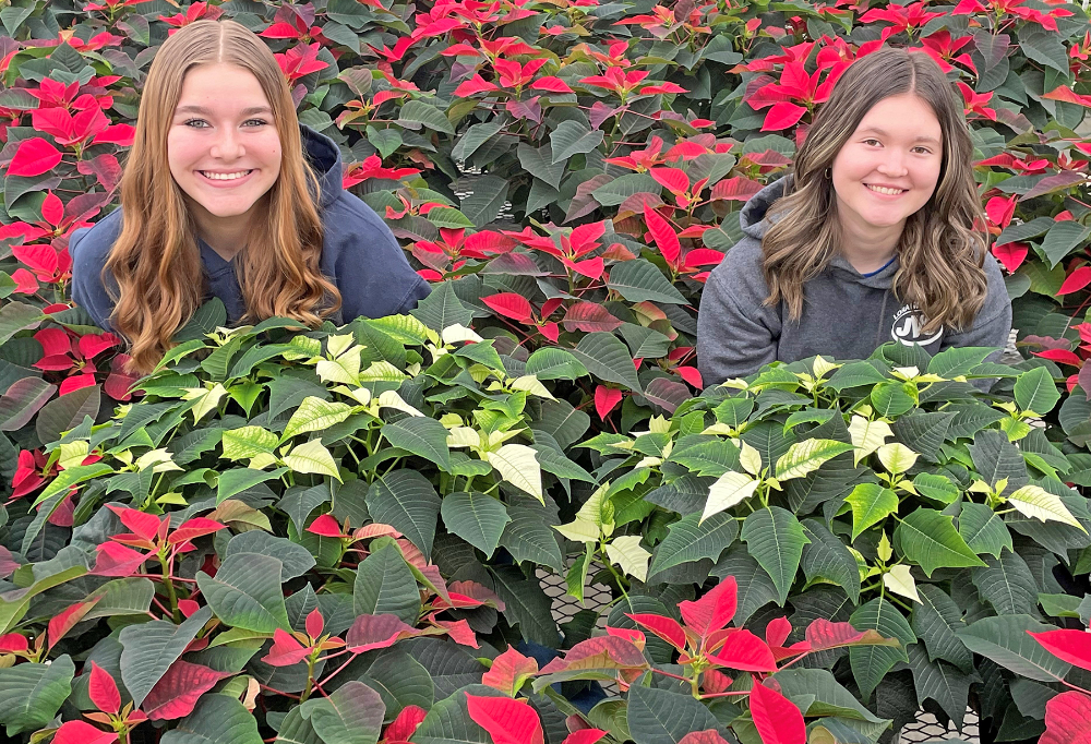 Gwen Dennison, Landscape and Greenhouse Management sophomore (Elyria), and Kaylie Blank, Landscape and Greenhouse Management senior (North Ridgeville) are surrounded by poinsettias in the LCJVS greenhouse. 
