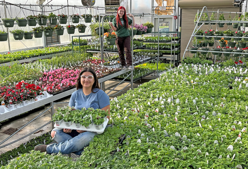 Greenhouse Opens for Spring Sales on April 29